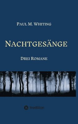 bokomslag Nachtgesänge: Drei Romane um Figuren und Motive aus der deutschen Literaturgeschichte