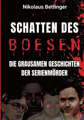 bokomslag Schatten des Bösen: Die grausamen Geschichten der Serienmörder