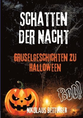 bokomslag Schatten der Nacht: 20 Gruselgeschichten zu Halloween