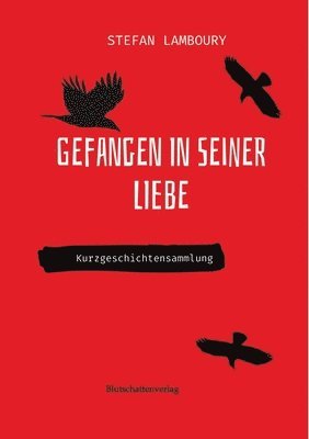 bokomslag Gefangen in seiner Liebe: Kurzgeschichtensammlung