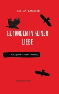 bokomslag Gefangen in seiner Liebe: Kurzgeschichtensammlung