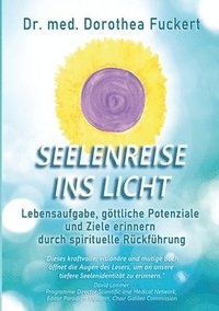 bokomslag SEELENREISE INS LICHT. Lebensaufgabe, göttliche Potenziale und Ziele erinnern durch spirituelle Rückführung