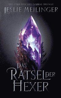 bokomslag Rätsel der Hexer