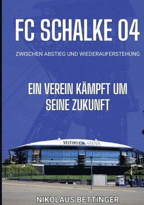 bokomslag FC Schalke 04 - Zwischen Abstieg und Wiederauferstehung