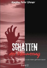 bokomslag Schatten der Dämmerung: Gruselgeschichten