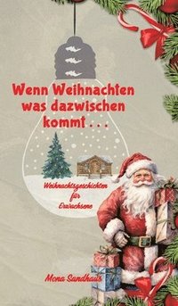 bokomslag Wenn Weihnachten etwas dazwischen kommt . . .:Weihnachtsgeschichten für Erwachsene