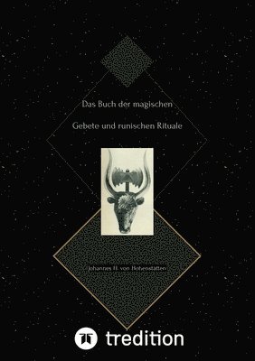bokomslag Das Buch der magischen Gebete und runischen Rituale