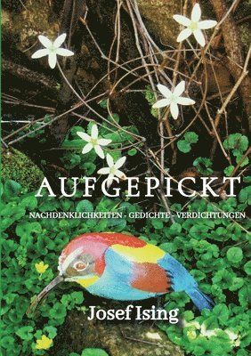 bokomslag Aufgepickt: Nachdenklichkeiten - Gedichte - Verdichtungen