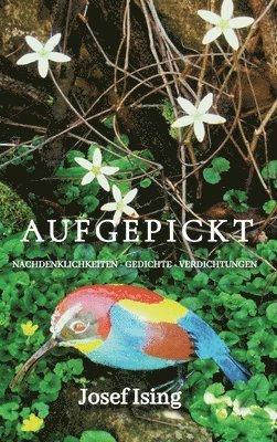 bokomslag Aufgepickt: Nachdenklichkeiten - Gedichte - Verdichtungen