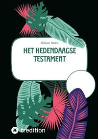 bokomslag Het Hedendaagse Testament