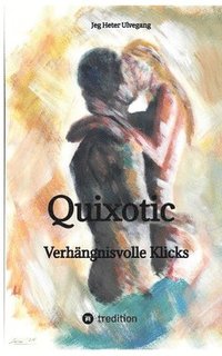 bokomslag Quixotic