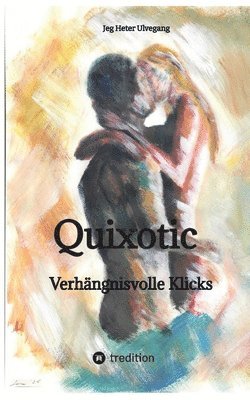 bokomslag Quixotic