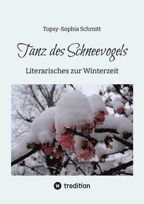 Topsy-Sophia Schmitt - Tanz des Schneevogels: Literarisches zur Winterzeit, Häftad