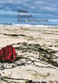 bokomslag Hannah: Eine Seelenreise zur Dualseele und Twinflame