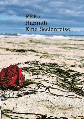 Hannah: Eine Seelenreise zur Dualseele und Twinflame 1