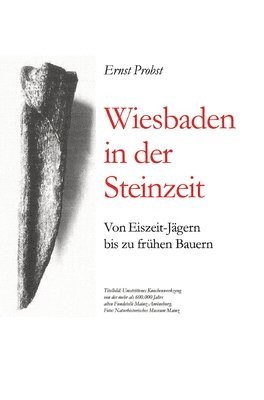 bokomslag Wiesbaden in der Steinzeit: Von Eiszeit-Jägern bis zu frühen Bauern