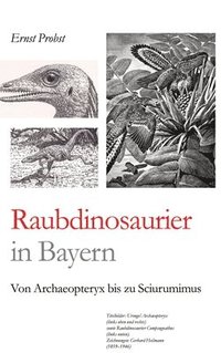 bokomslag Raubdinosaurier in Bayern: Von Archaeopteryx bis zu Sciurumimus