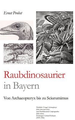 Raubdinosaurier in Bayern: Von Archaeopteryx bis zu Sciurumimus 1