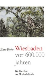 bokomslag Wiesbaden vor 600.000 Jahren: Die Fossilien der Mosbach-Sande