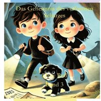 bokomslag Geheimnis des verlorenen Schatzes