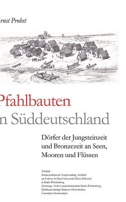 bokomslag Pfahlbauten in Süddeutschland