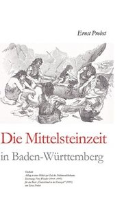 bokomslag Die Mittelsteinzeit in Baden-Württemberg