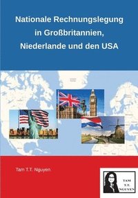 bokomslag Nationale Rechnungslegung in Großbritannien, Niederlande und den USA: Gemeinsamkeiten und Unterschiede