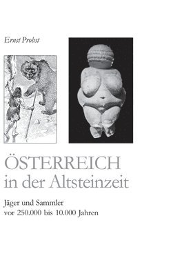 bokomslag Österreich in der Altsteinzeit: Jäger und Sammler vor 250.000 bis 10.000 Jahren