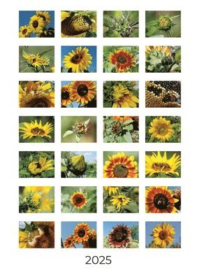 Sonnenblumen: Wochenkalender 2025 1