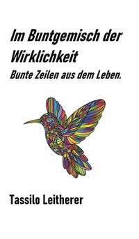 bokomslag Im Buntgemisch der Wirklichkeit