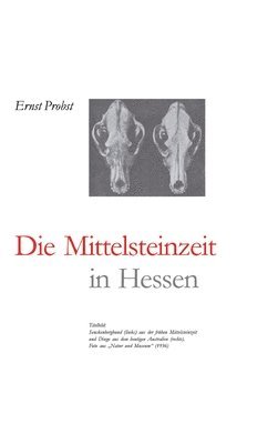 Ernst Probst - Hessen in der Mittelsteinzeit, Inbunden