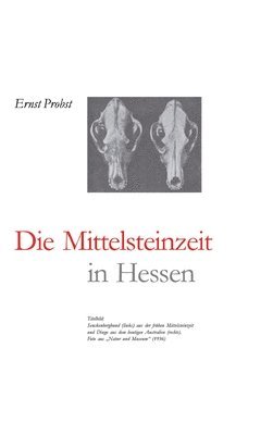 Hessen in der Mittelsteinzeit 1