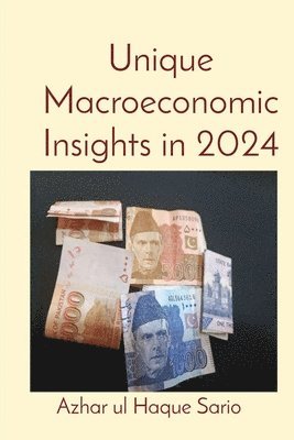 Unique Macroeconomic Insights in 2024 1