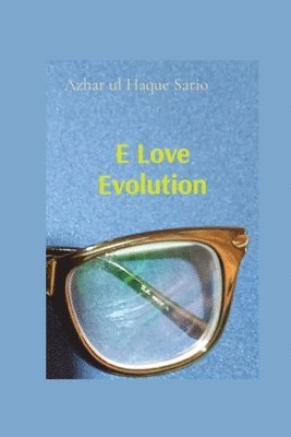 bokomslag E Love Evolution