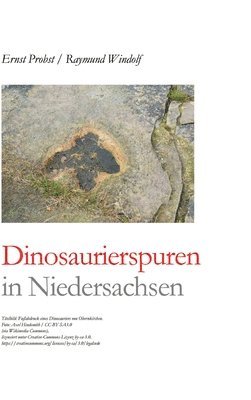 bokomslag Dinosaurierspuren in Niedersachsen