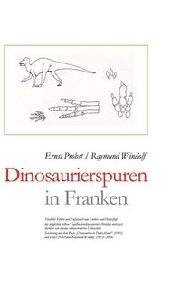 bokomslag Dinosaurierspuren in Franken