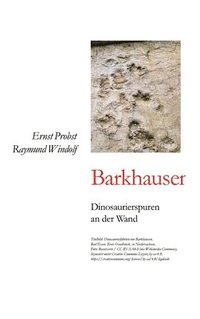 bokomslag Barkhausen: Dinosaurierspuren an der Wand