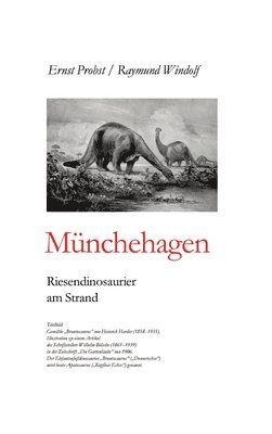 Mnchehagen 1