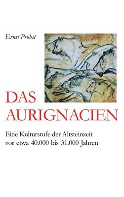 Das Aurignacien 1