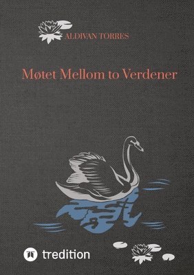 Mtet Mellom to Verdener 1