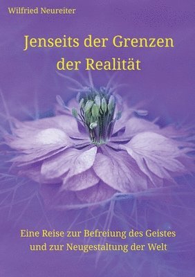 bokomslag Jenseits der Grenzen der Realitt