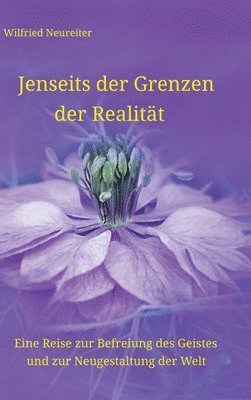 bokomslag Jenseits der Grenzen der Realität