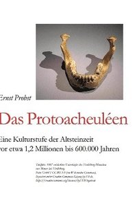 bokomslag Das Protoacheulen