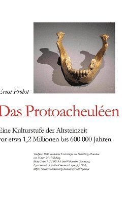 bokomslag Das Protoacheulen