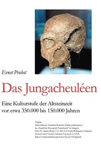 bokomslag Das Jungacheuléen: Eine Kulturstufe der Altsteinzeit vor etwa 350.000 bis 150.000 Jahren