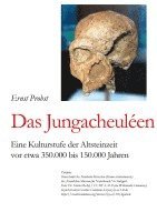 bokomslag Das Jungacheuléen:Eine Kulturstufe der Altsteinzeit vor etwa 350.000 bis 150.000 Jahren