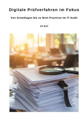 bokomslag Digitale Prüfverfahren im Fokus