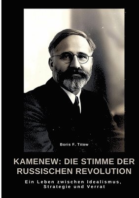 bokomslag Kamenew