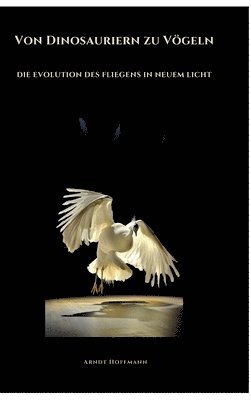 bokomslag Von Dinosauriern zu Vögeln: Die Evolution des Fliegens in neuem Licht