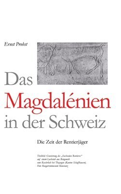 bokomslag Magdalénien in der Schweiz